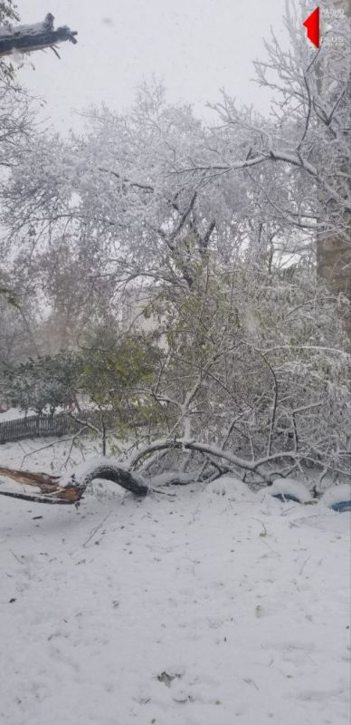 ���������, ��. ������