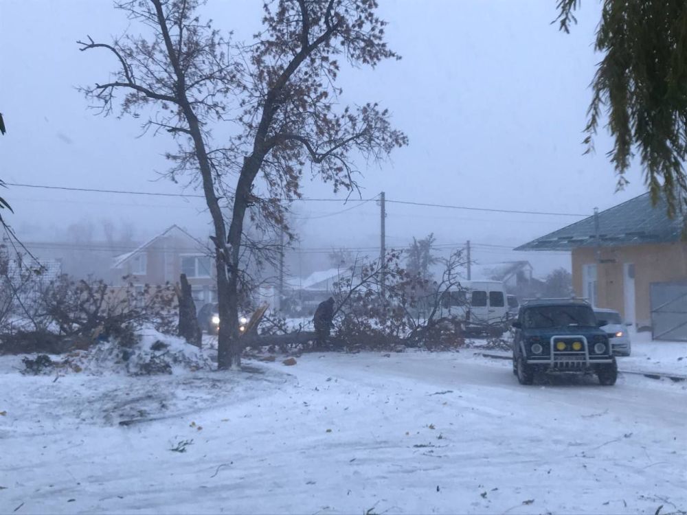 ����� 28 ����, ������ ������������ ������ 21 ��������