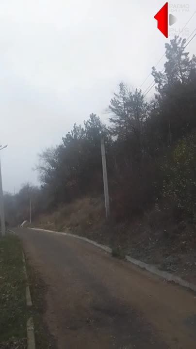 �������. �� ������ ���������� ���� ������ ����������