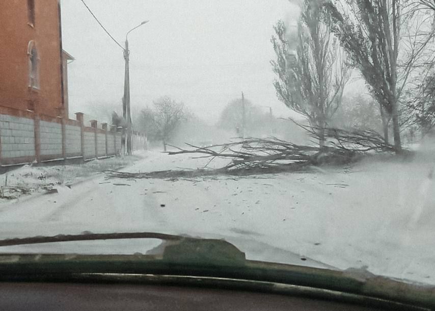 ��� ���� ������ �� ������ � ������ �� ���������.