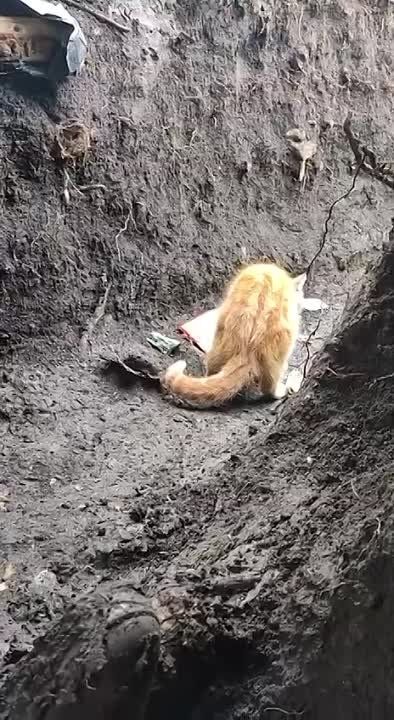 � ���������� ������ � ������ �� ��������