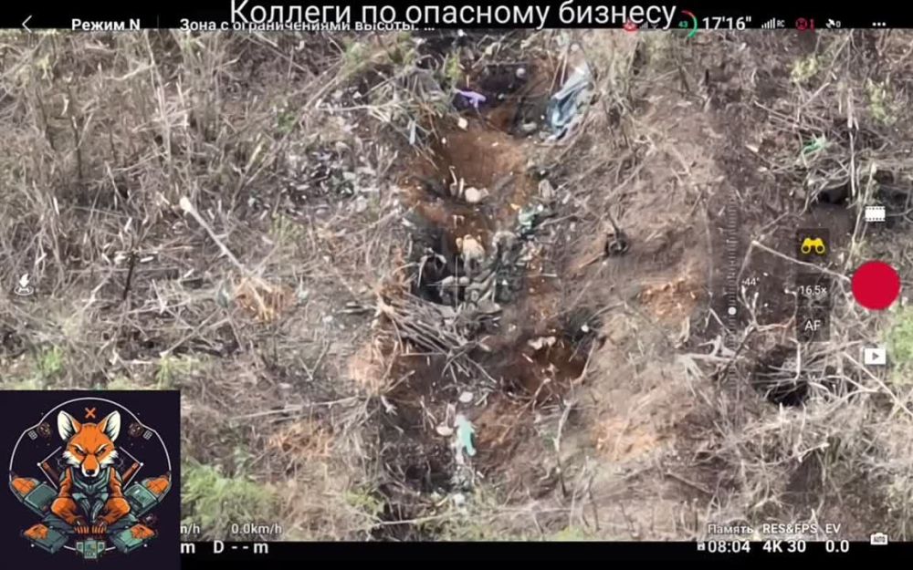 ������ ���� ��������� ������������� ������� ��������� �� 3� ������� ������� ������ �� ����� 300, � � ����� ��� ������������� �� ������ ����� ����