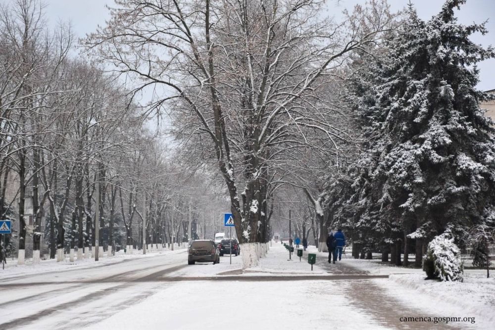 ��������� ����� ������ ������ ��������