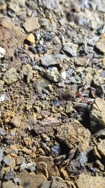 ����� � ��������� �� �������� ���������� ��� ����� ��������