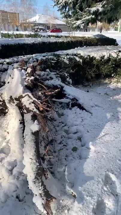 � ������ ������� (������������� �����) ������ ������ � ������ ��� ����������� ���