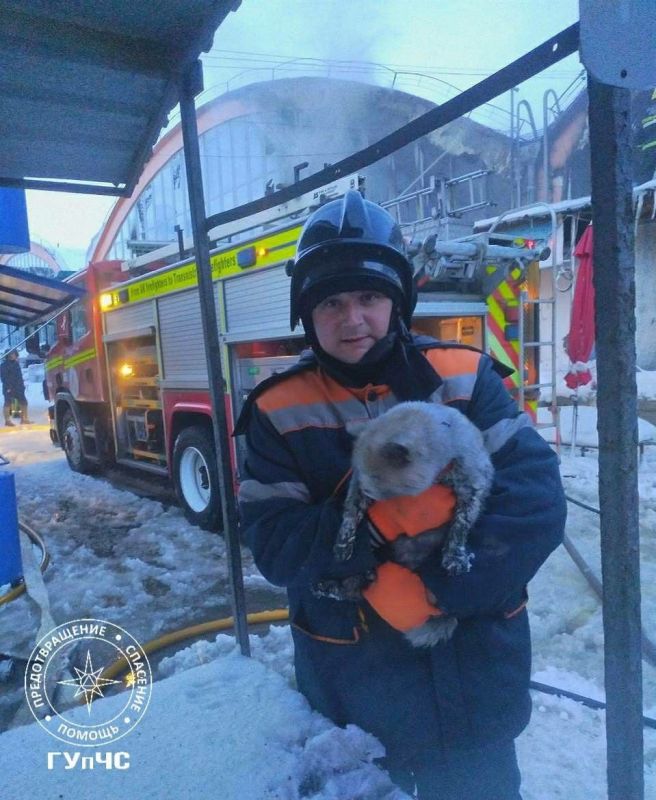 ��������� ������ ���. � ��������� �������� ���� � ��������, ����� ���������