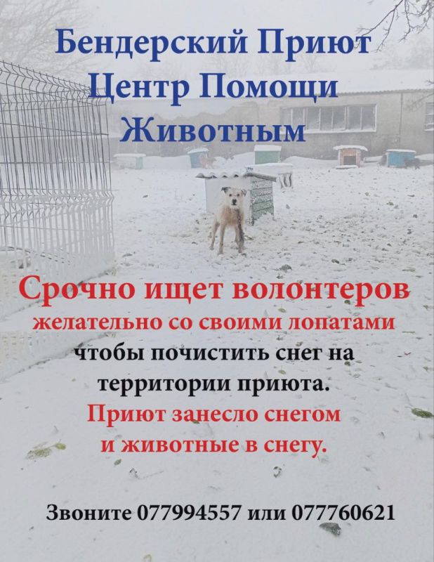 ������ ������ ������� ������ ����� ������!