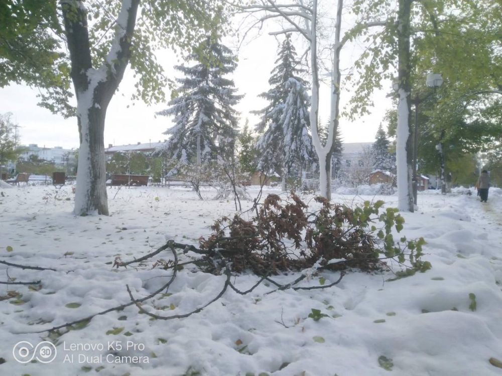 ������ ����������� ������� � ������, ������ ����� �������� ����������� � �����