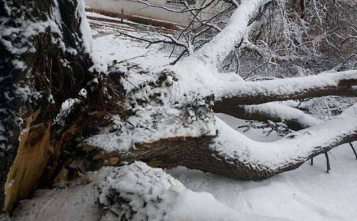 � �������� ������ ����� �� ����������, ����������� ������ �������������