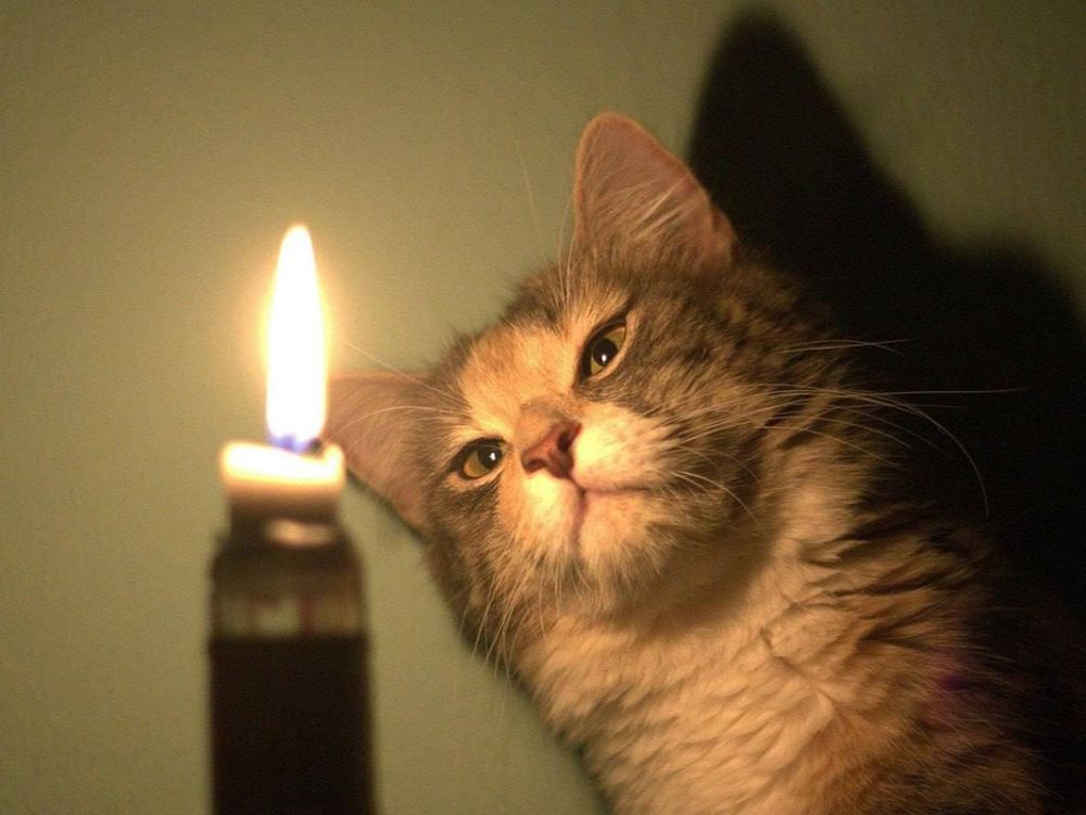 8,5 ����� ��������� ��� ����� �� ���� ����������