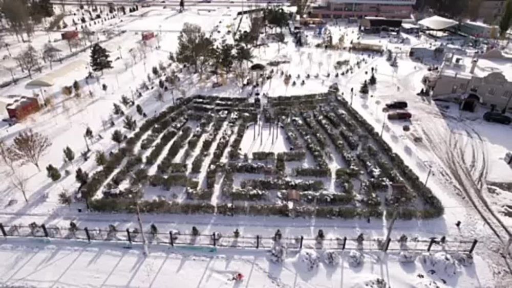 � ��������.