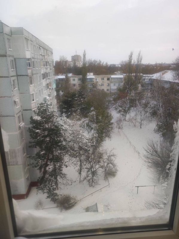 � ����� ���� �� ���� � �������� ������������ ��������..