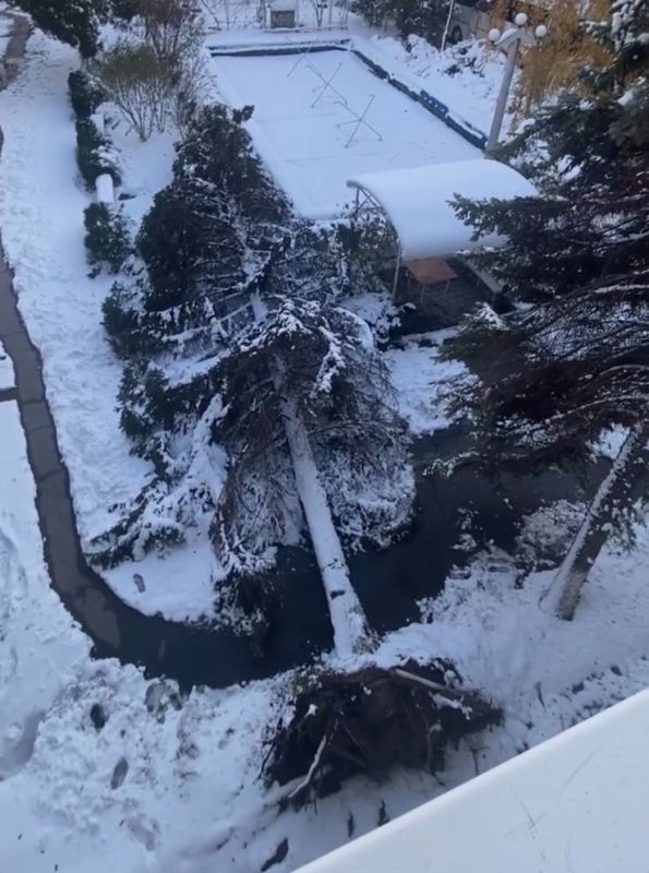 �� ���������� ������ ���������� � ��������� ����� �������� ���