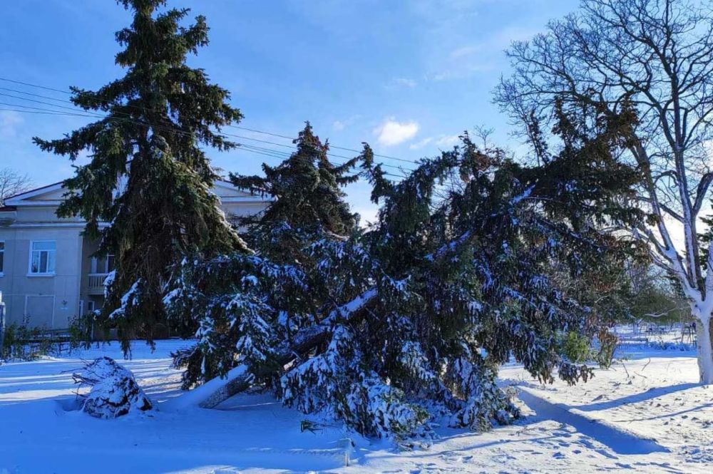 ��-�� �������� ����� � ���� ��������������� ���������� ������ �������� ������� ������