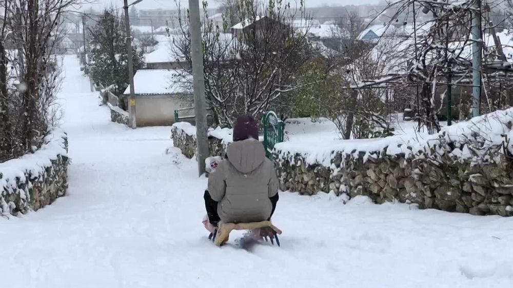 ���� �������� ������ �� ���������, ���� � ������� ����������