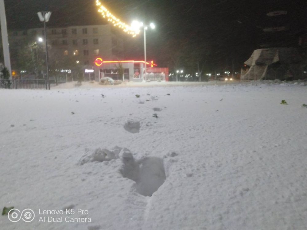 ��� ����� ������� 8,5 ����� ��������� �� ����������