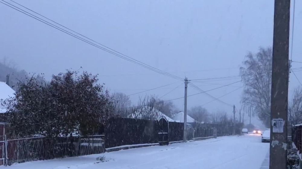 � ������� - ��������. �������, ������ ���� �� ����� ����������