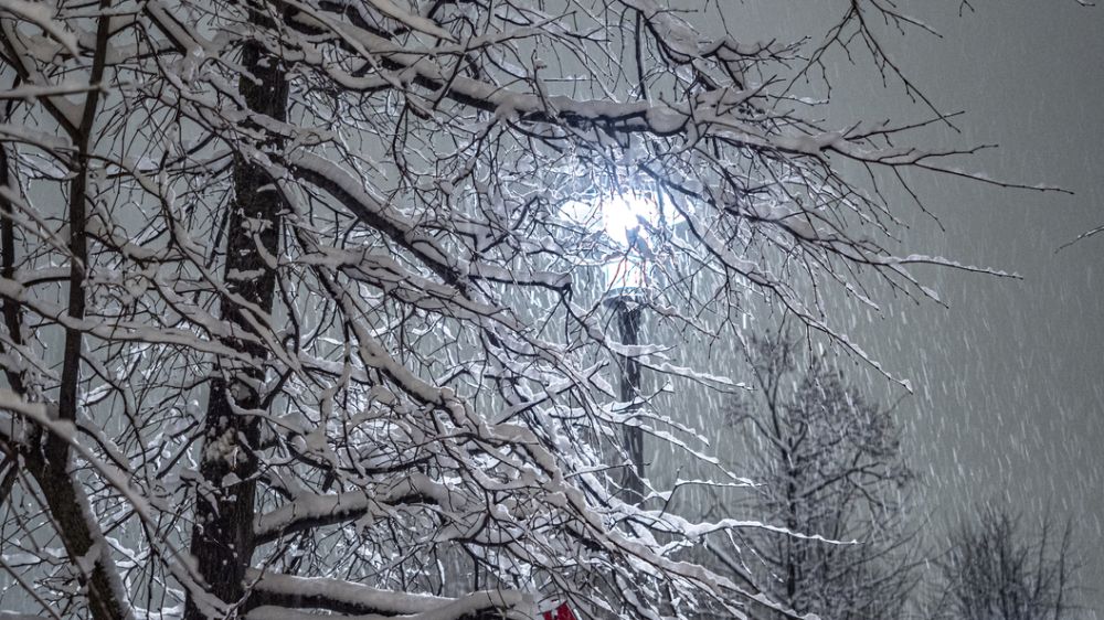 � ������������� ��������� ����������� ����� �������� �������