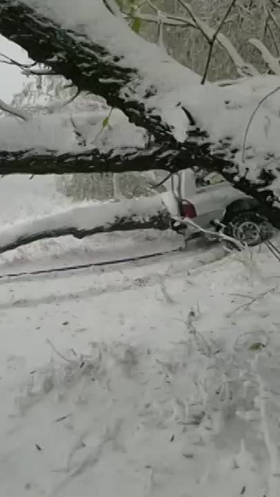 �����, ��� ��� �� ���� ������ ����� ������ �� ������ ������� � ������