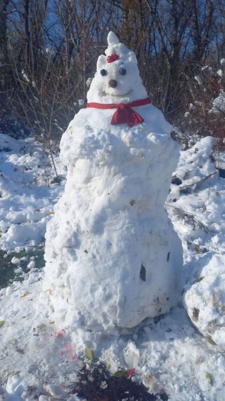 ������ ������ � ���������� �����������