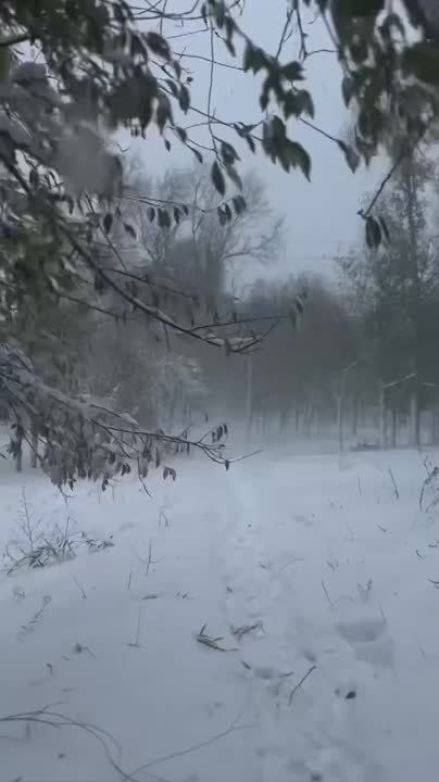 ����������� ������� ����� ��������� ����