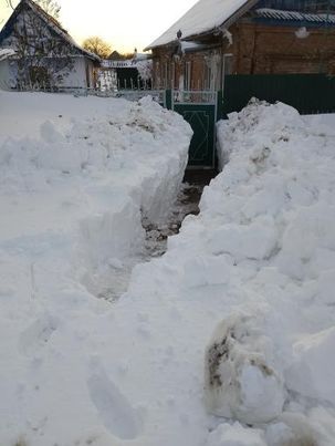 ���� �� ���� ��������.. ����� ����������, ���� ������ �� �������?