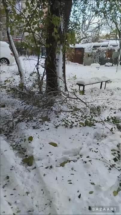 ����������� ��������. ����� � ������ ����� ��������� ��������� �����