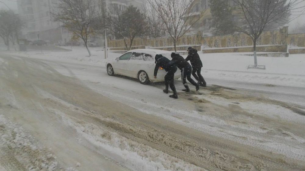 88 ����������� ���� ��������� �� �������� ����� ����������� �������������� ������