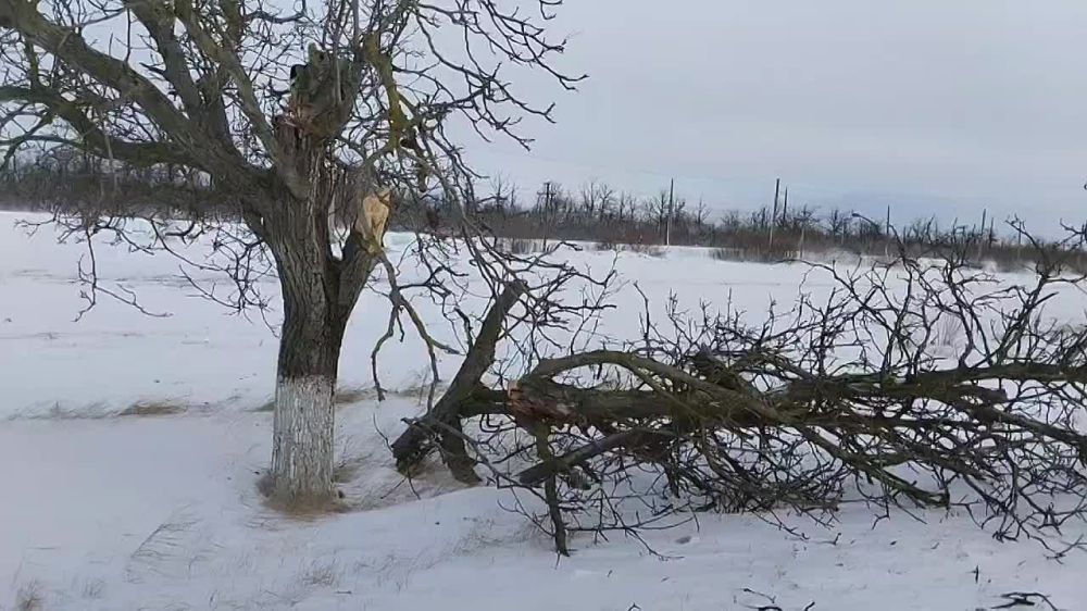 ������ �� ����������. ������ �������� �������