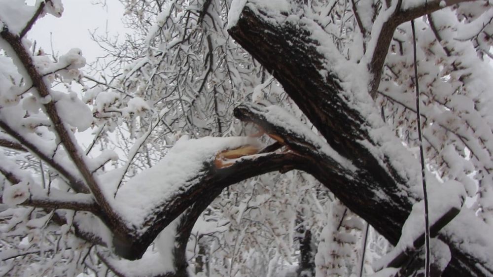 �� ������� ��� ������� ������ ������� � ������� ����� �19, 23, 28, 47, 49, 52, 72