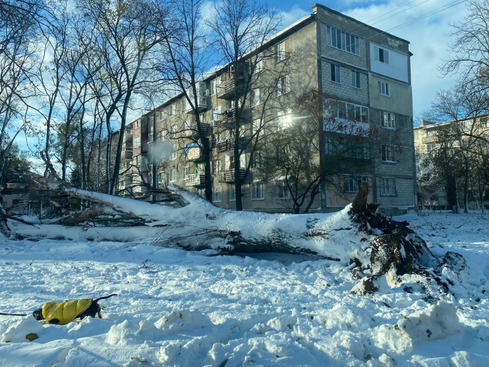 ���� ������. ��������� ������� ��� ��������� ������������� ����������� ���������