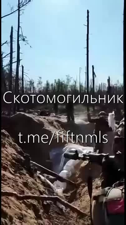 �������� ����� � ���� ���������� ��������������.