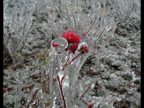 23 ���� ����� �������� ������ ������������� ������ ��� ��� �������� � ���� � 27 �� 28 ������. ��� ����� ��� ����� � ����� ���������� �������� � ������� ������ ���� - �����������