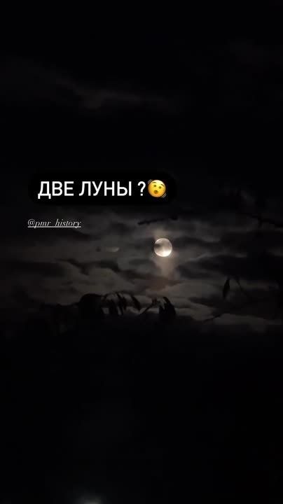 � ��� ��� � ��� ���� ���� ����������