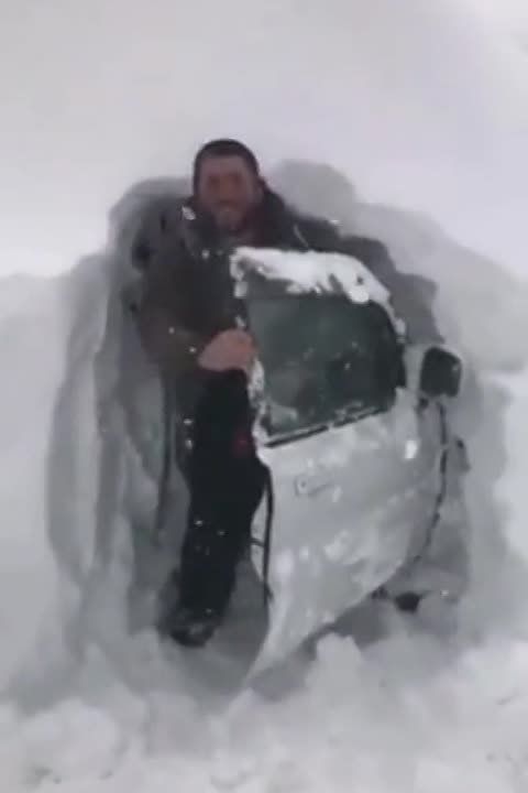 ������ ����� �� �� �������, � �� ������ �������