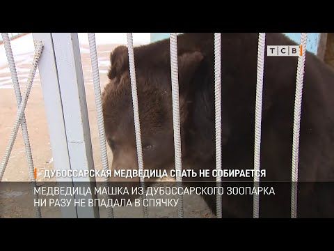 ��������� ����� �� ������������� �������� ����� �� ����������. �������� �� ��, ��� ������ ��������� ���� � �� ������ � ��������. ��� ��������� ��������, �� ����� ��� ����� � �������� ����� ����� �� ����� �� ����