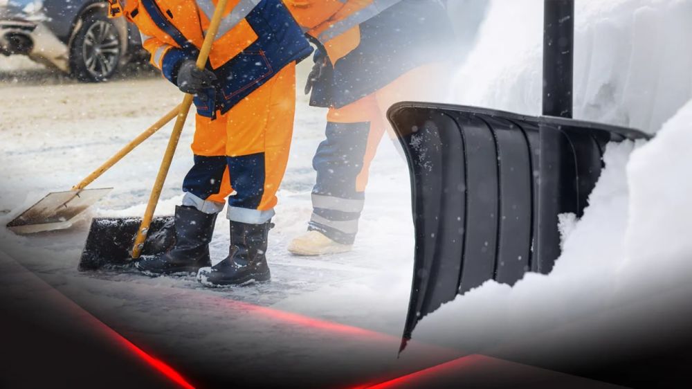 ������������ ������ �� ��������� ����� � ����� ����-������������, ��������� � ������� �����������, �������� ������������ ����������������