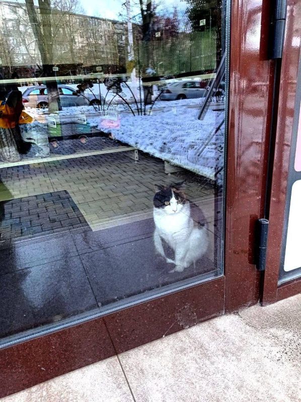 � ����� ��� ������, �� ���� ����� ��������.