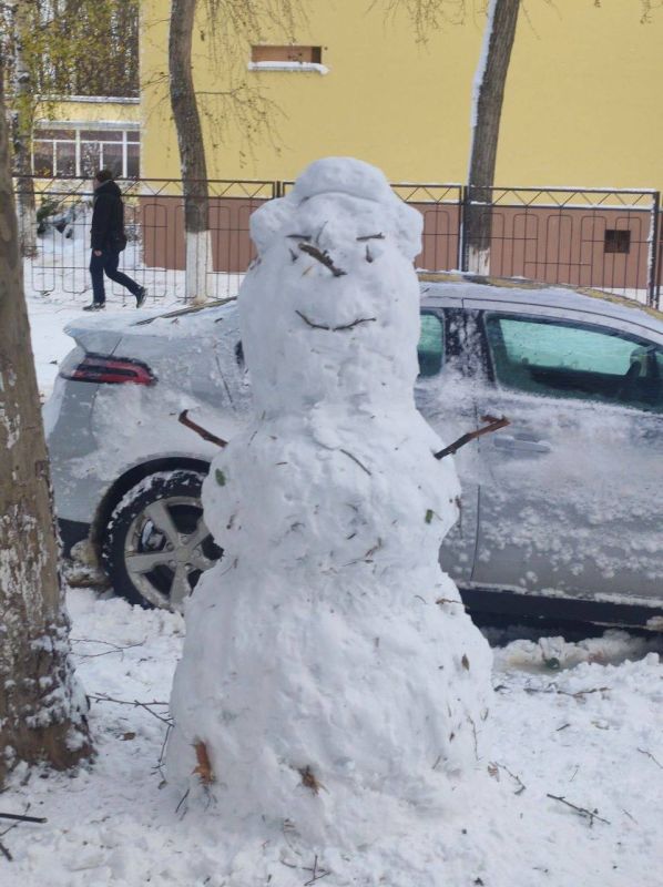 ����. ���� ����������.