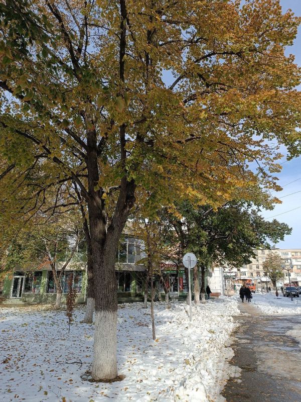 29 ������ ��������� ��������, ���� � ������������ ������