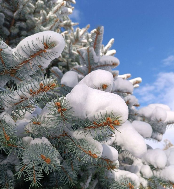 28 ������ ��������� �������� � ������������ ������, ��� ������������ �������