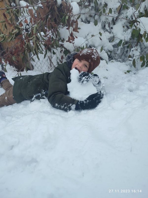 ����������� ������� �������� � �� ������