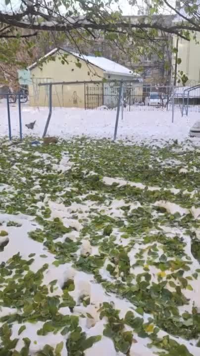 ������� ���������� ������ ����� ������.