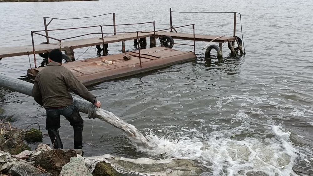 � ������������� ������������ ���������� �����������, ������������ �� ����������, ���������� � ������������ ������������� ������ ������������� ��������