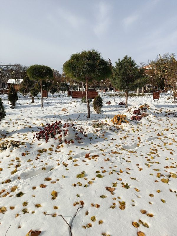 ���� ���: ������������ ���� �� ����������� ������