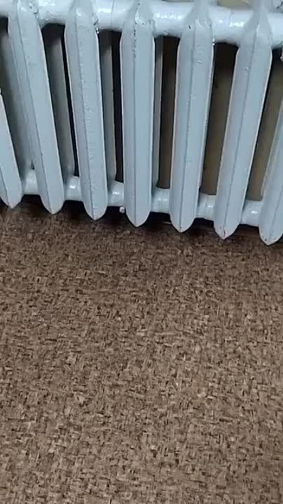 � �������� ���������������� �����, �� ������� ������� ��������, ��� �� � 86-������ �������, ������� ��� ������� �� �������, � ����� ������� ������������������ � ����������, ��� ��� �� ����� ����������� �����������