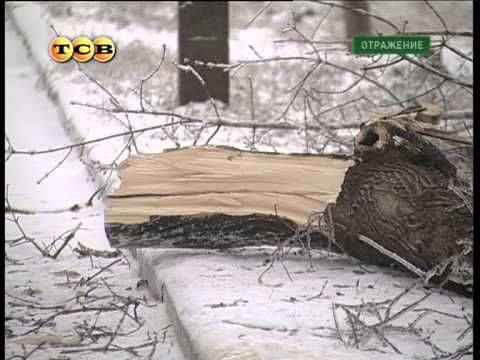 ������� ���� � ������������� ��������� � �� �� ����� ����, ����� ��������� � ���������� ����������� 2000 ���� - � 26 �� 27 ������. ���� ������ ������ ������ � �������� �� ����������, ����� ��������� �����