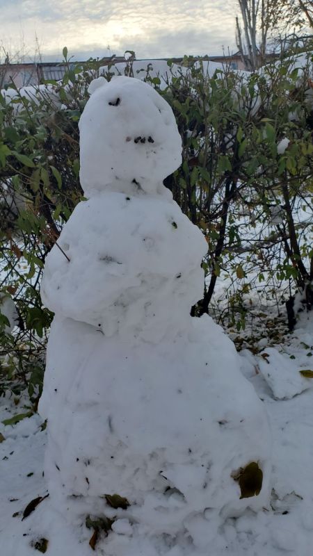 �������� ������� �������, �� ��������