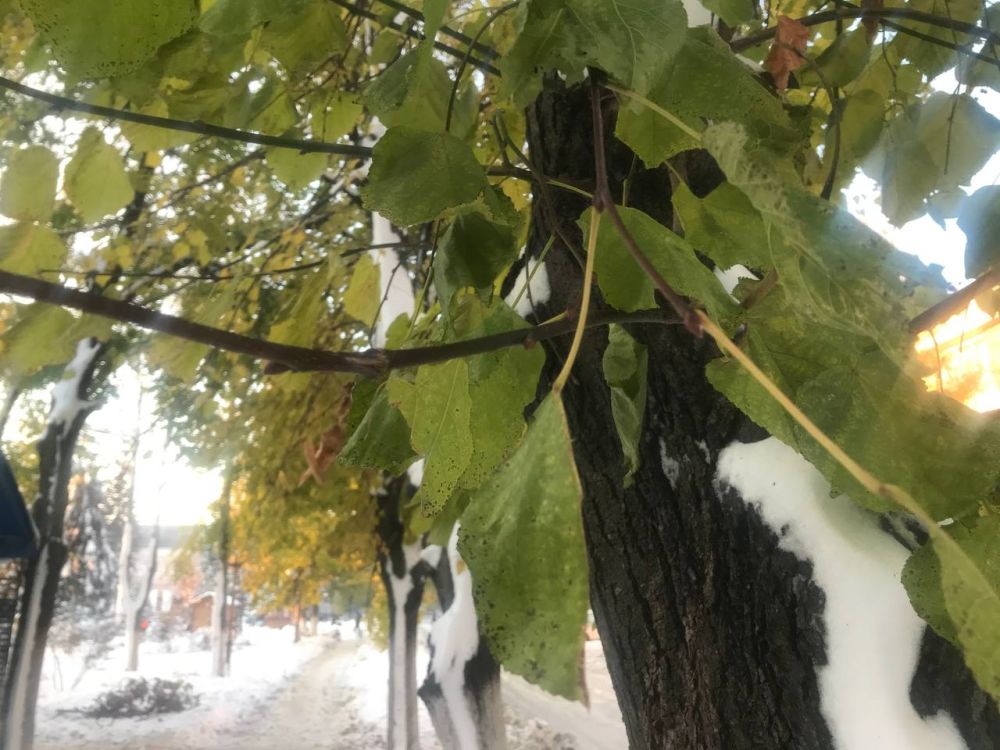 ���� � ����� ����������� ����������� �������