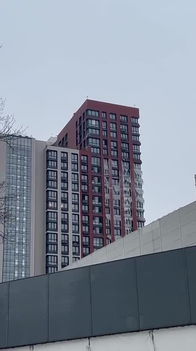 � ������ �������� �������� ���